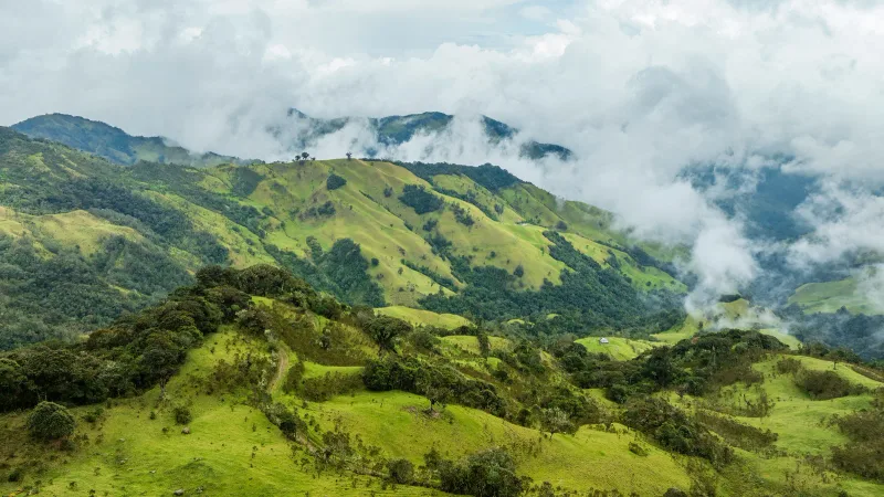 Andes occidental — foto: Ricky Beron