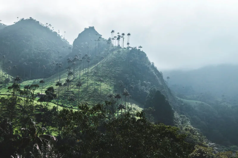 Andes occidental — foto: Jan Kronies