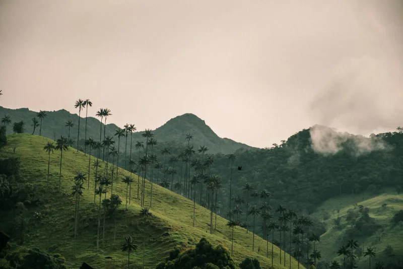 Andes occidental — foto: David Restrepo