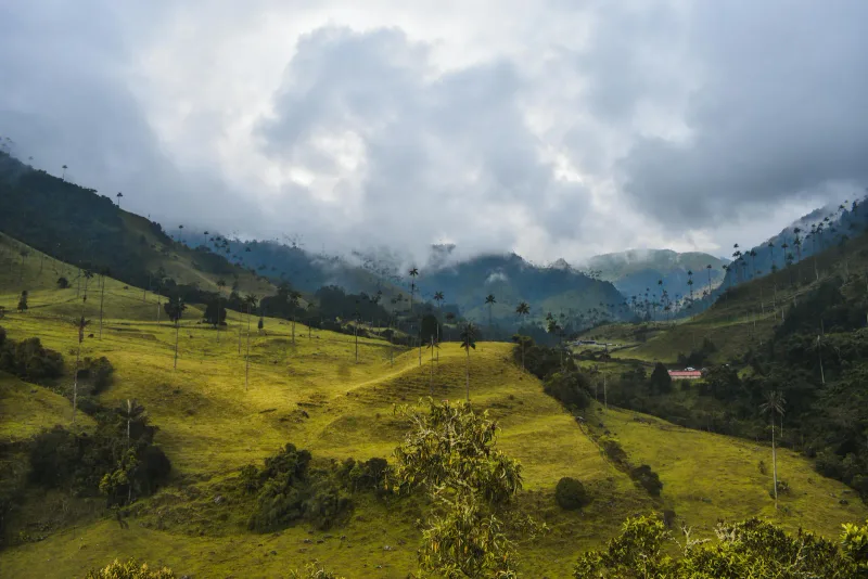 Andes oriental — foto: Jess Londoño