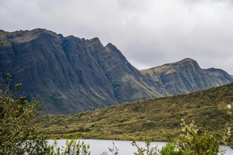 Andes oriental — foto: Juan Felipe Ramírez