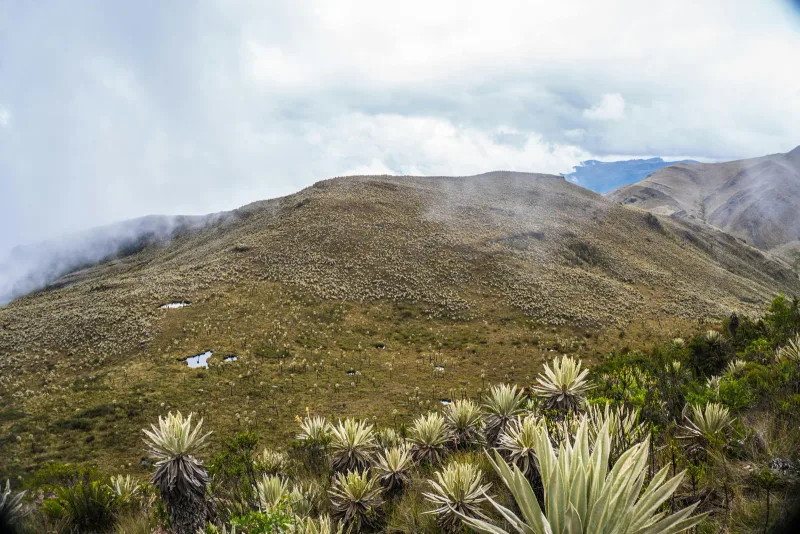 Andes oriental — foto: Juan Felipe Ramírez