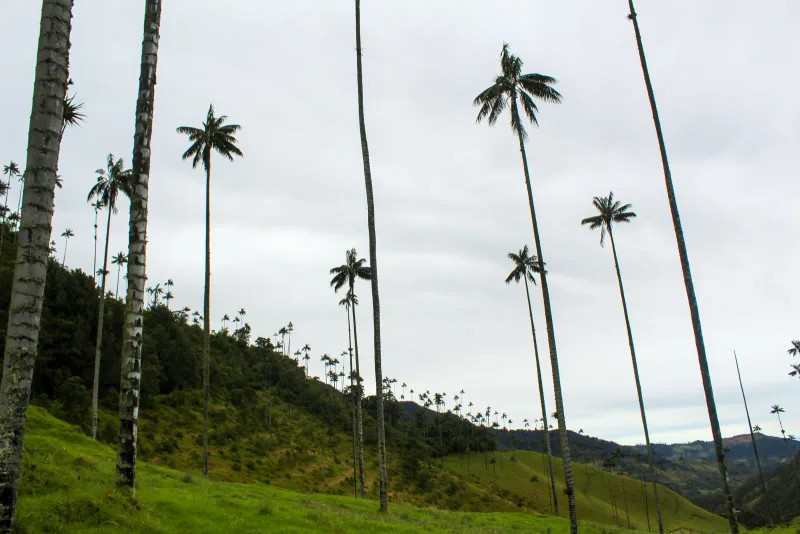Caribe insular — foto: Backroad Packers