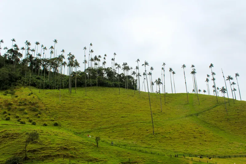 Caribe insular — foto: Backroad Packers