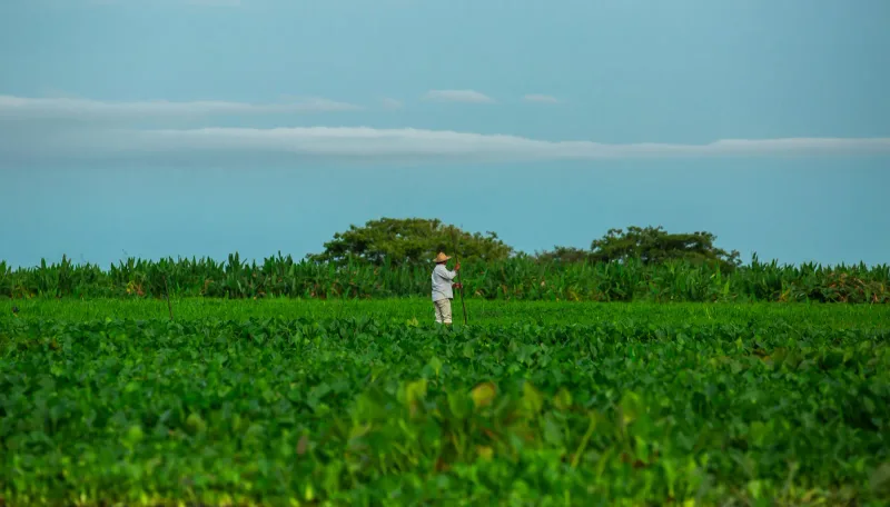 Llanos orientales — foto: Juan Sebastián González R.