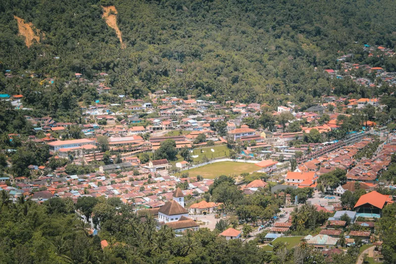 Palomino — foto: Faaidhul Haadi
