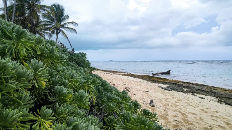San Andrés — foto: WILLIAN REIS