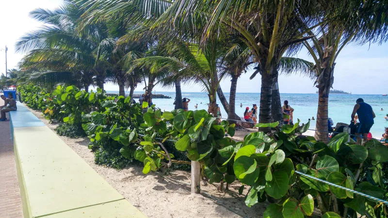 San Andrés — foto: WILLIAN REIS