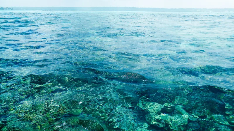 San Andrés — foto: WILLIAN REIS