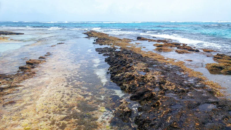 San Andrés — foto: WILLIAN REIS