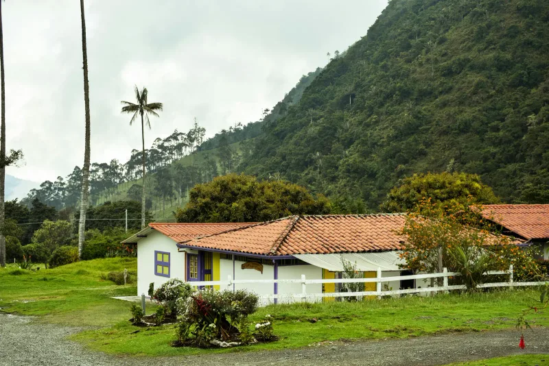 Valle del Cocora — foto: Jess Londoño